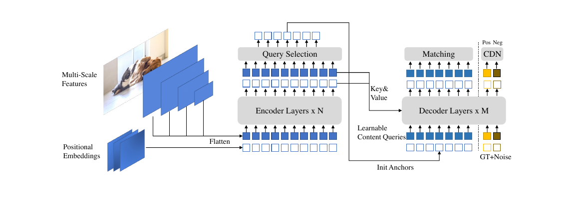 DINO framework: multi-scale features, encoder, query selection, decoder with a CDN branch