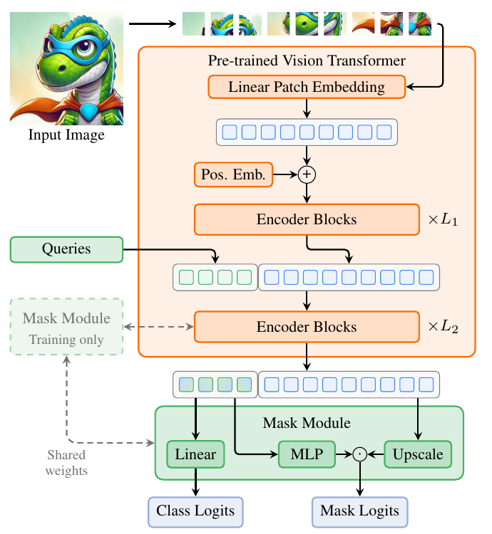 EoMT architecture: queries concatenated to patch tokens after the first L1 blocks