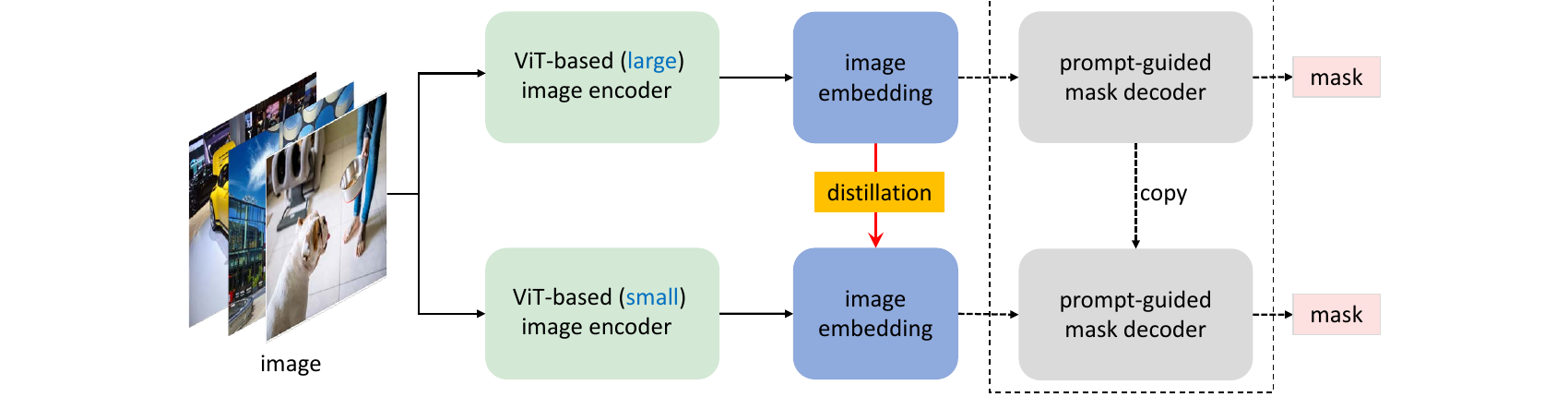 Decoupled distillation for SAM