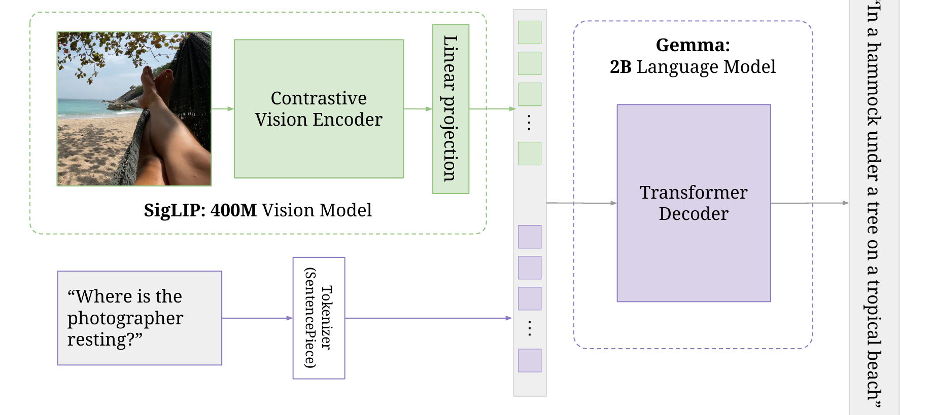 PaliGemma's architecture: a SigLIP image encoder feeds into a Gemma decoder LM