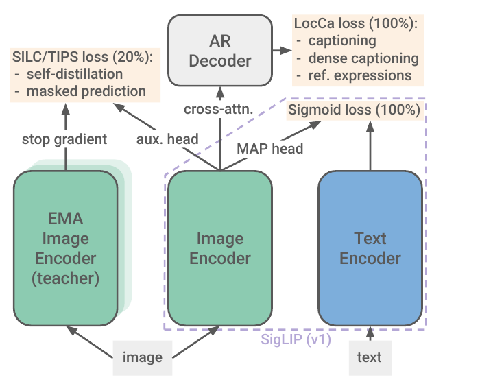 SigLIP 2's training recipe: LocCa captioning decoder, SILC/TIPS self-distillation and masked prediction, and the SigLIP sigmoid loss, combined on top of the same image/text encoder backbone